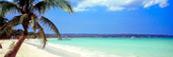Florida Beach Condo Rental Information